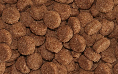 Arkwrights Sporting – hondenvoer voor actieve honden • 15 kg