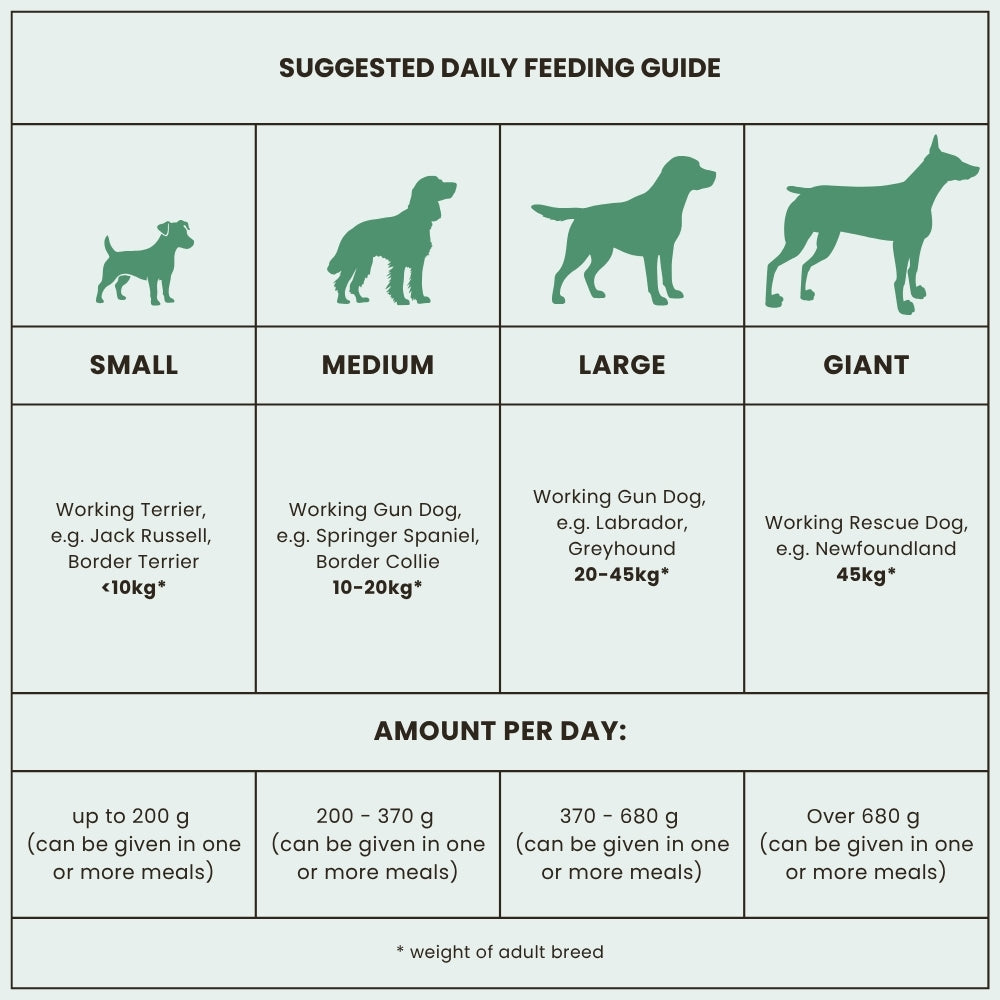 Dr John Allergivänligt – hundfoder kyckling & havre • 2×12,5 kg dubbelpack