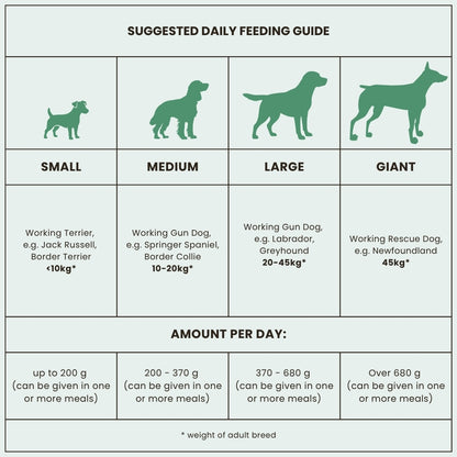 Dr John Allergivänligt – hundfoder kyckling & havre • 4 kg