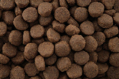 Dr John Activ – hondenvoer voor actieve honden • energierijk • 12,5 kg