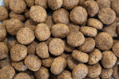 Nourriture pour chien Dr John Hypoallergénique – Canard et saumon, sans poulet, pour chiens sensibles, pack 3X2kg