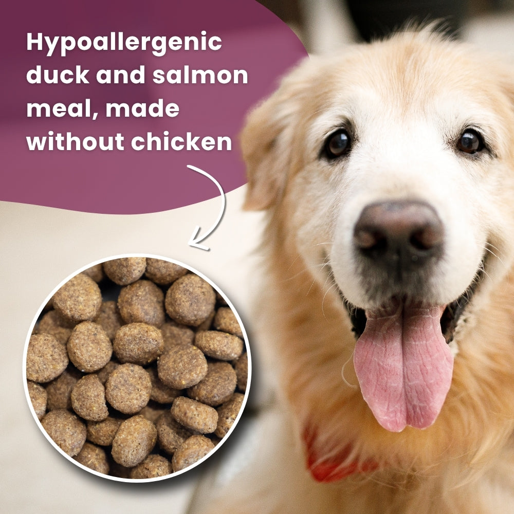 Dr John Hypoallergenic – kaczka i łosoś • pakiet 2×12,5 kg