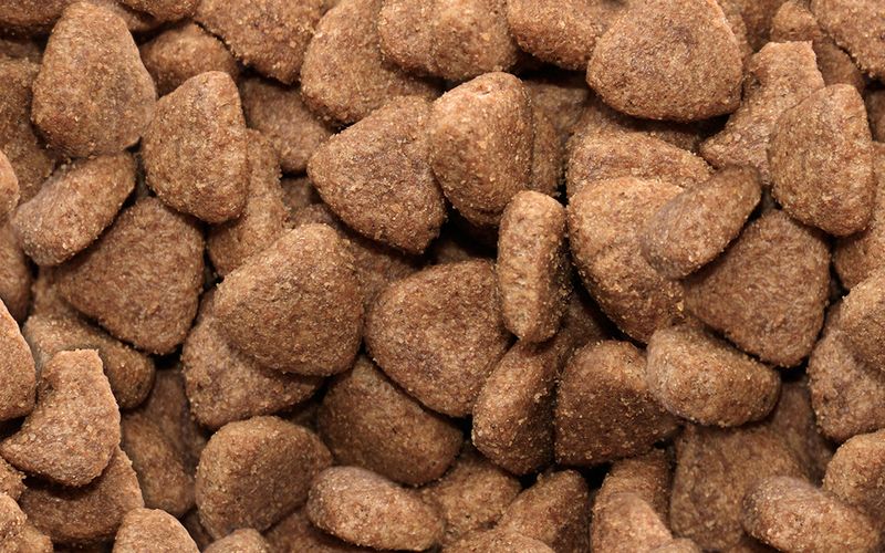 Gilpa Kennel – hrana za velike pse • 15 kg