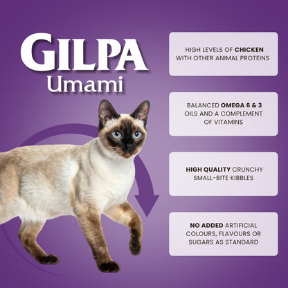 Gilpa Umami – kassitoit • 15 kg