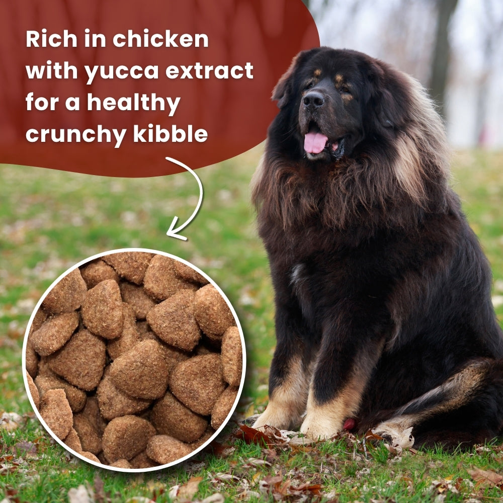 Gilpa Kennel – 2×15 kg