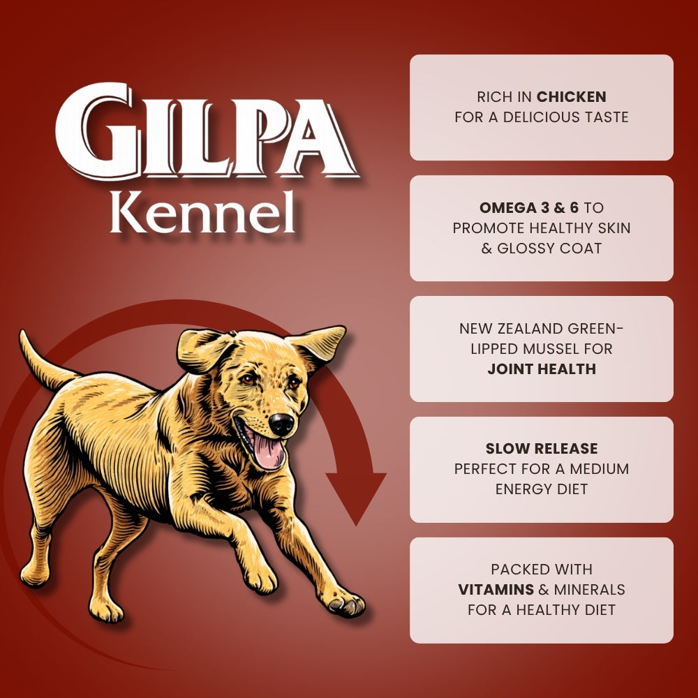 Gilpa Kennel – 2×15 kg