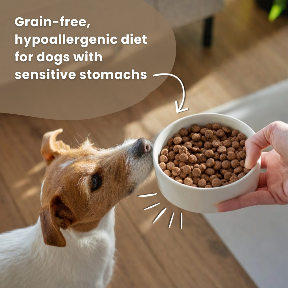 Dr John Grain Free – Huhn & Kartoffel • Getreidefrei • 12,5kg