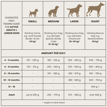 Dr John Grain Free – pakiet 2×12,5 kg
