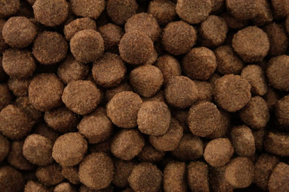 Dr John Hypoallergenic – jagnięcina i ryż • 2 kg
