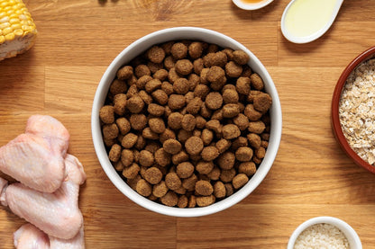 Dr John Allergivänligt – hundfoder kyckling & havre • 2×12,5 kg dubbelpack