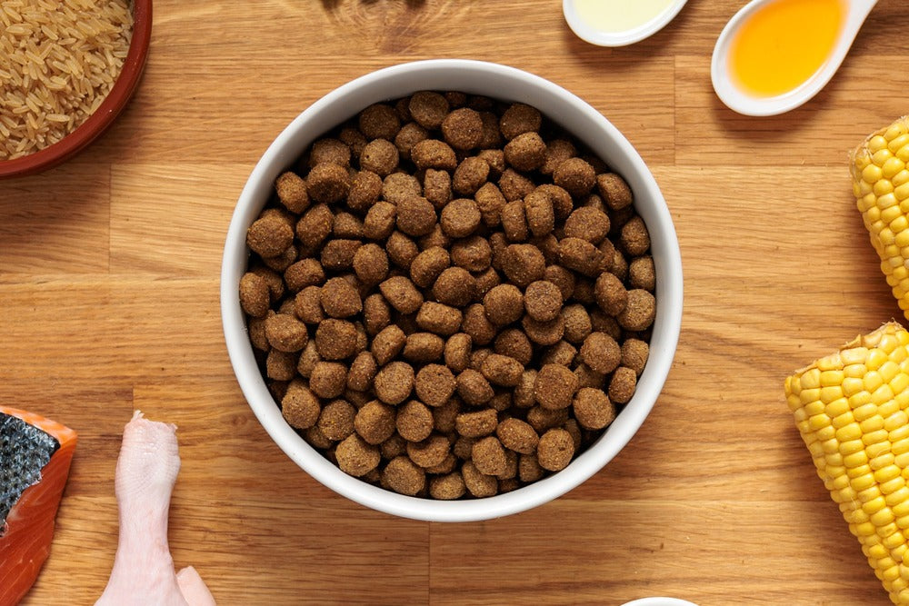Dr John Hüpoallergeenne – koeratoit part & lõhe • 12,5 kg