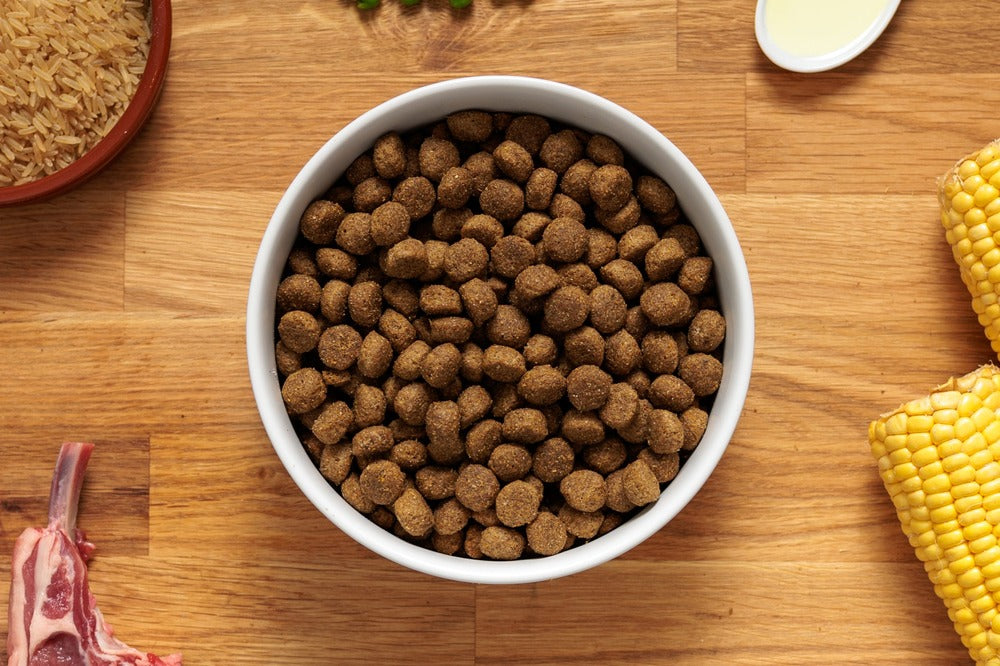Dr John Hüpoallergeenne – lambaliha & riis • 12,5 kg