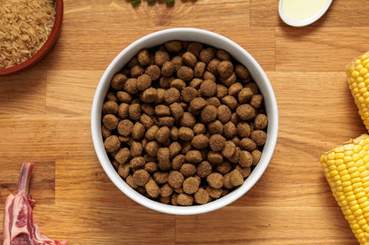 Dr John Hüpoallergeenne – lambaliha & riis • 12,5 kg