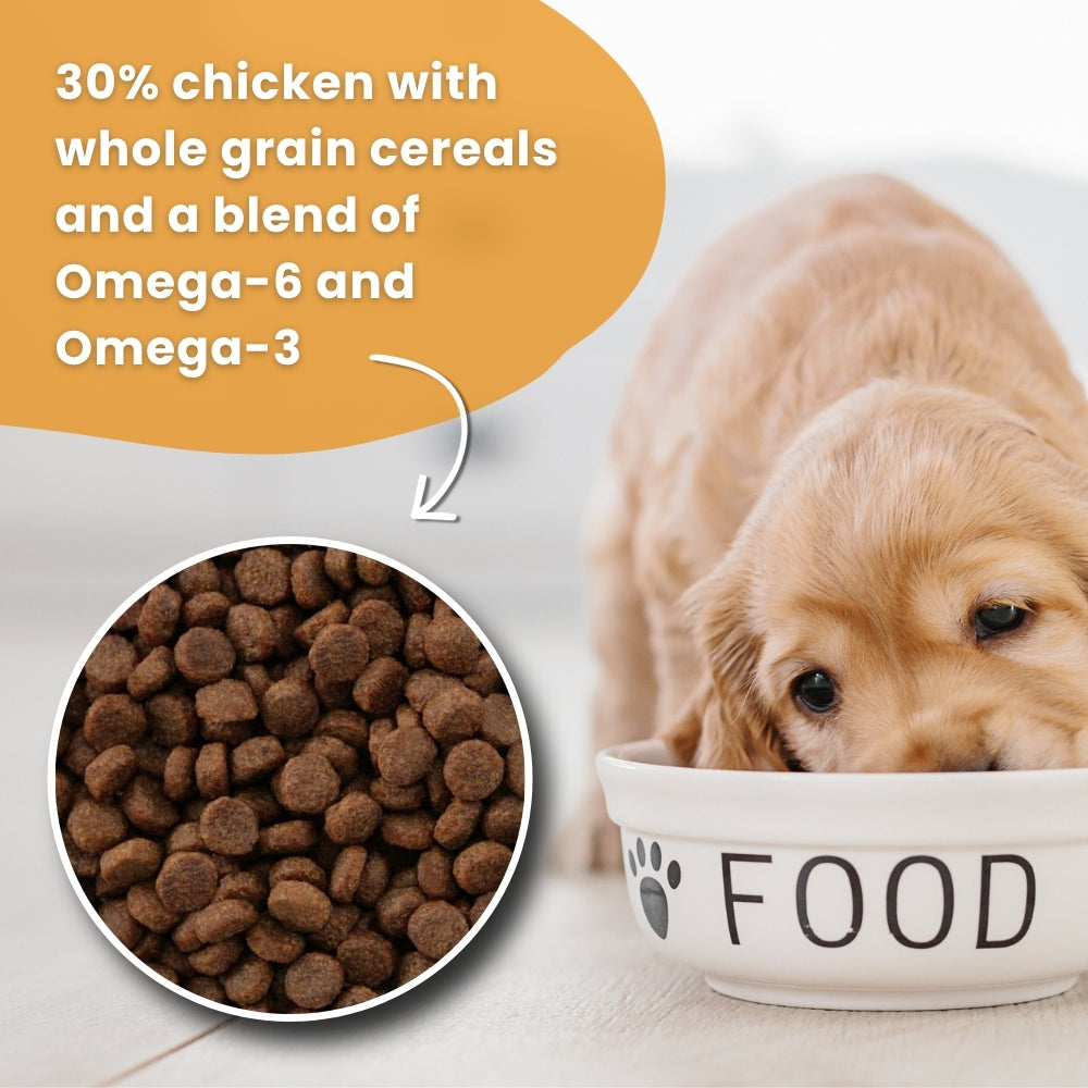 Dr John Puppy – 2×10 kg