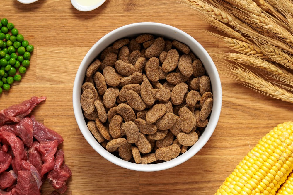 Dr John Silver – hundfoder med nötkött • 15 kg