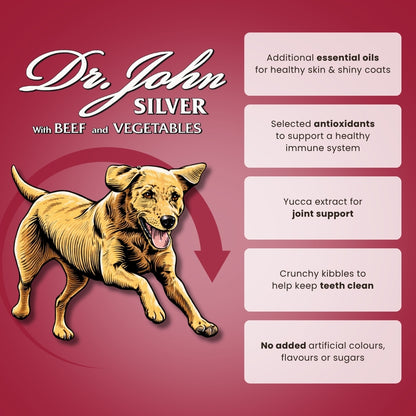 Dr John Silver – hundfoder med nötkött • 15 kg