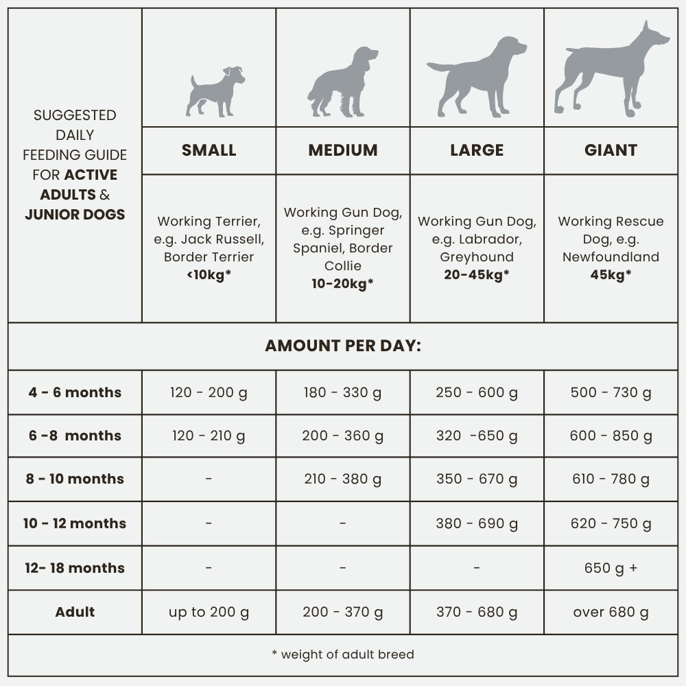 Dr John Titanium – pakiet 2×15 kg