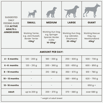 Dr John Titanium – pakiet 2×15 kg