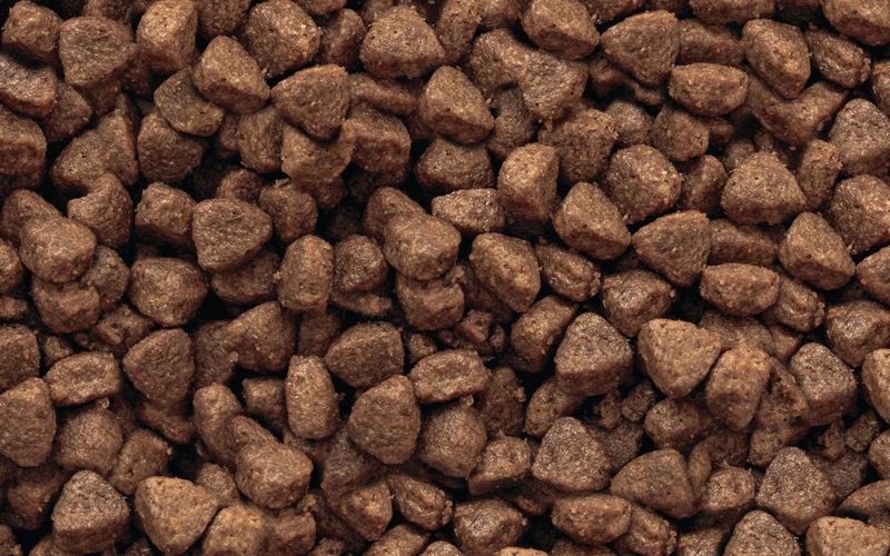 Gilpa Umami – kassitoit • 15 kg