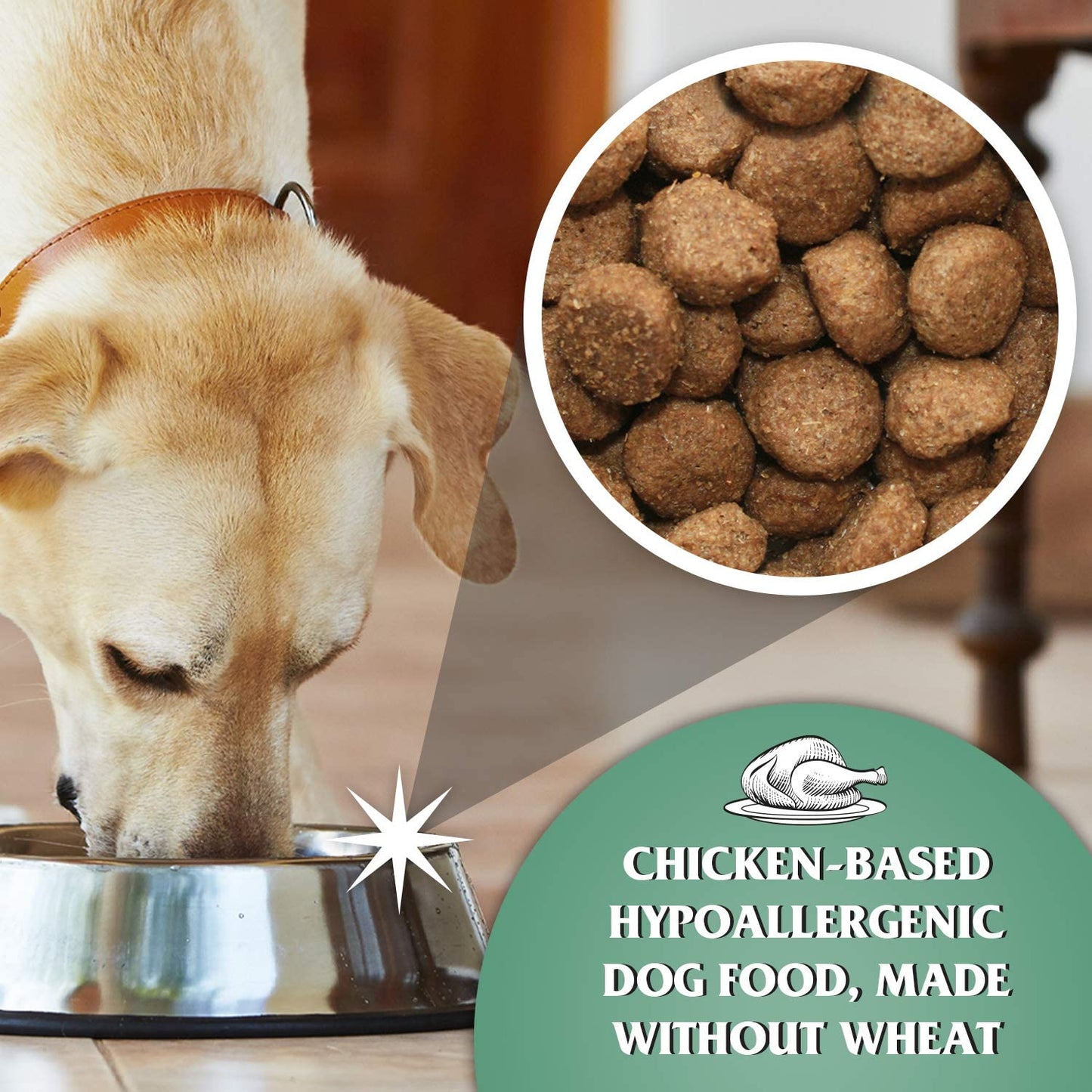 Dr John Hypoallergenic CHICKEN with OATS 4 kg - Premium Dog Food from Gilbertson & Page - Just $14! Shop now at Gilbertson & Page Europe