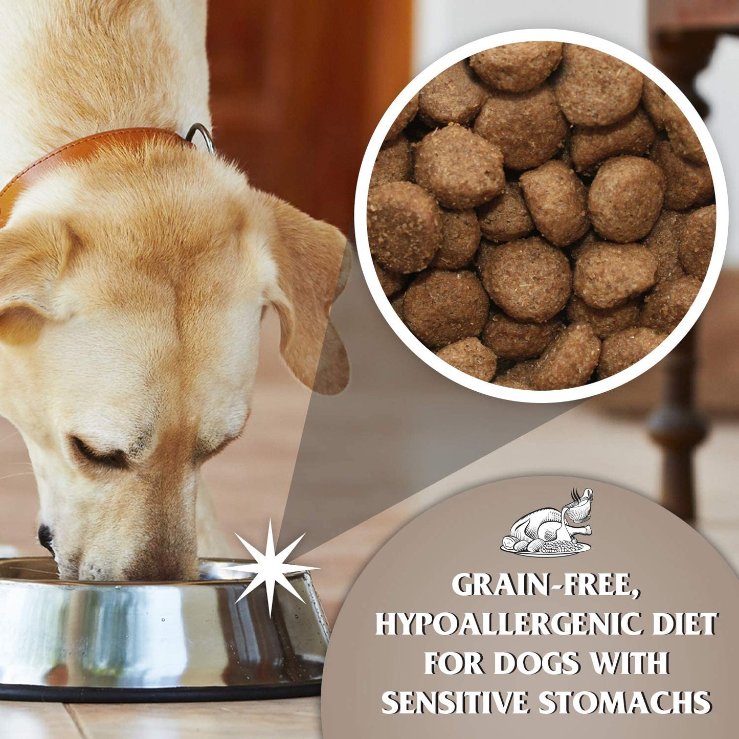 Dr John GRAIN FREE Chicken & Potato 2 kg - Premium Dog Food from Gilbertson & Page - Just $14! Shop now at Gilbertson & Page Europe