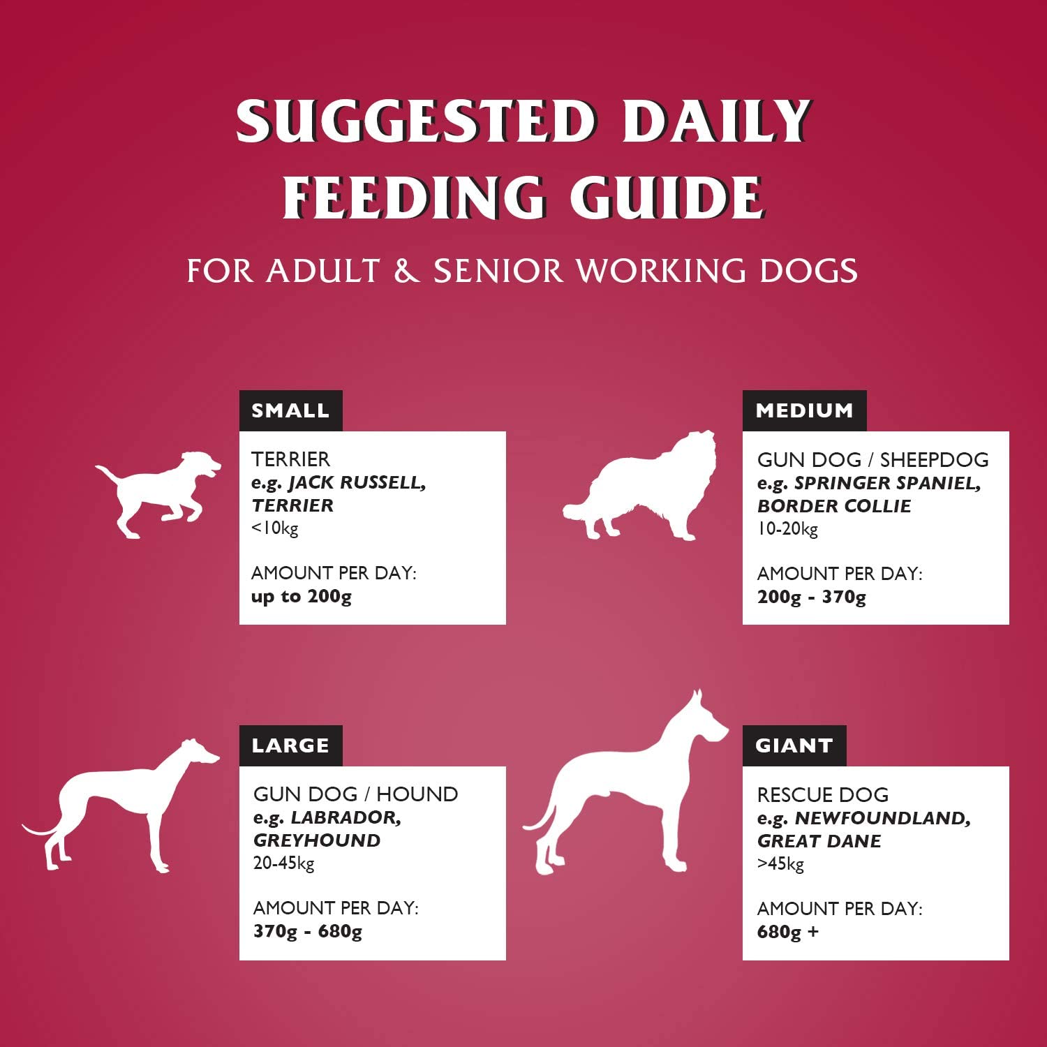 Dr John SILVER BEEF with VEGETABLES 15 kg - Premium Dog Food from Gilbertson & Page - Just $31.50! Shop now at Gilbertson & Page Europe