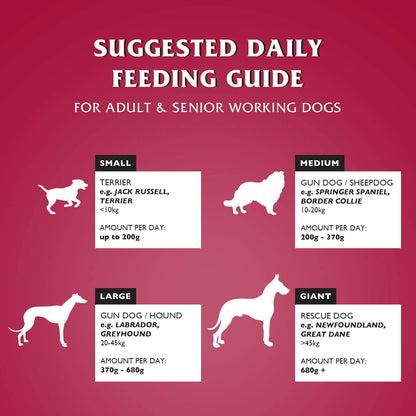 Dr John SILVER BEEF with VEGETABLES 15 kg - Premium Dog Food from Gilbertson & Page - Just $31.50! Shop now at Gilbertson & Page Europe