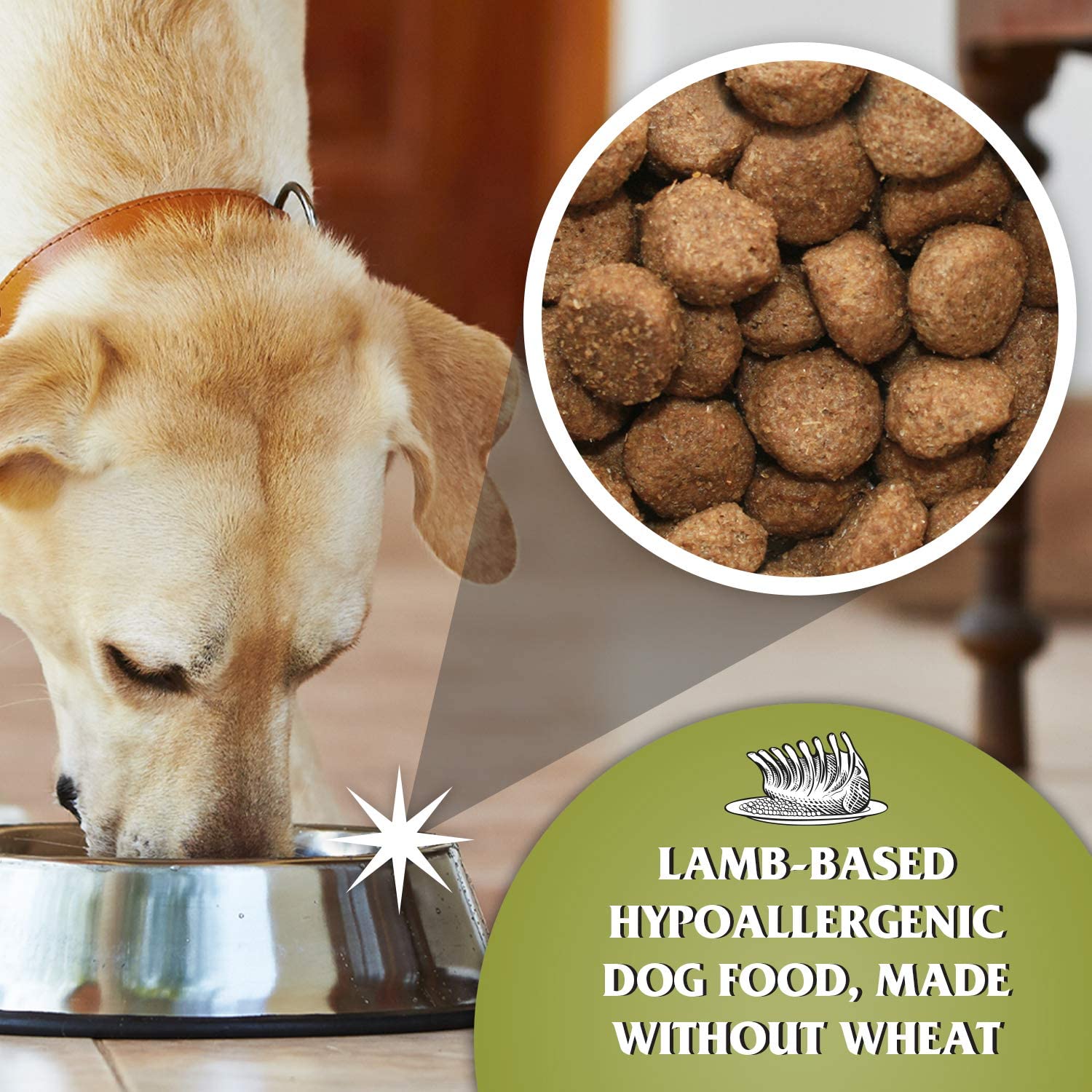 Dr John Hypoallergenic LAMB with RICE 15 kg - Premium Dog Food from Gilbertson & Page - Just $38.50! Shop now at Gilbertson & Page Europe