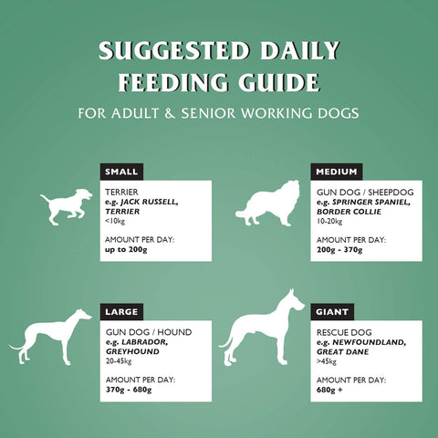 Dr johns sales hypoallergenic dog food