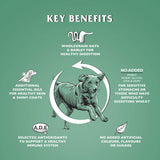 Dr John Hypoallergenic CHICKEN with OATS 4 kg - Premium Dog Food from Gilbertson & Page - Just $10.50! Shop now at Gilbertson & Page Europe