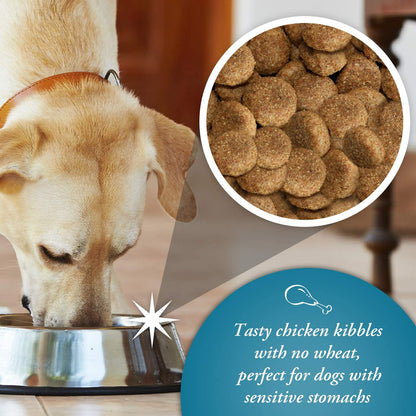 Arkwrights SENSITIVE 15 kg - Premium Dog Food from Gilbertson & Page - Just $33.90! Shop now at Gilbertson & Page Europe