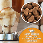 Dr John GOLD Rich in CHICKEN with VEGETABLES 4 kg - Premium Dog Food from Gilbertson & Page - Just $9.25! Shop now at Gilbertson & Page Europe